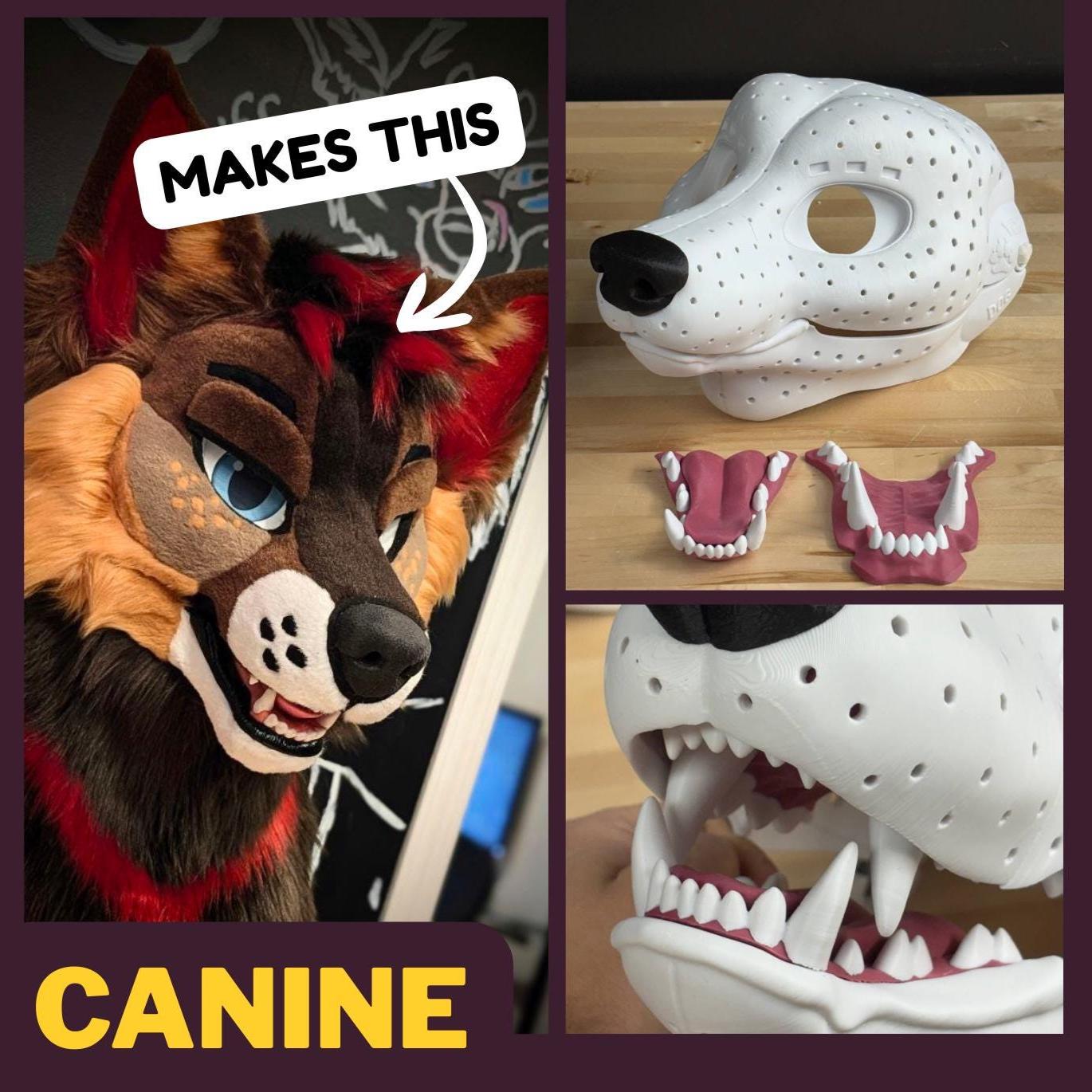 Canine