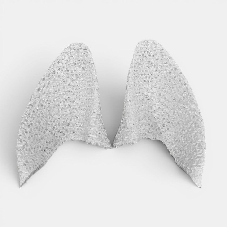Ears