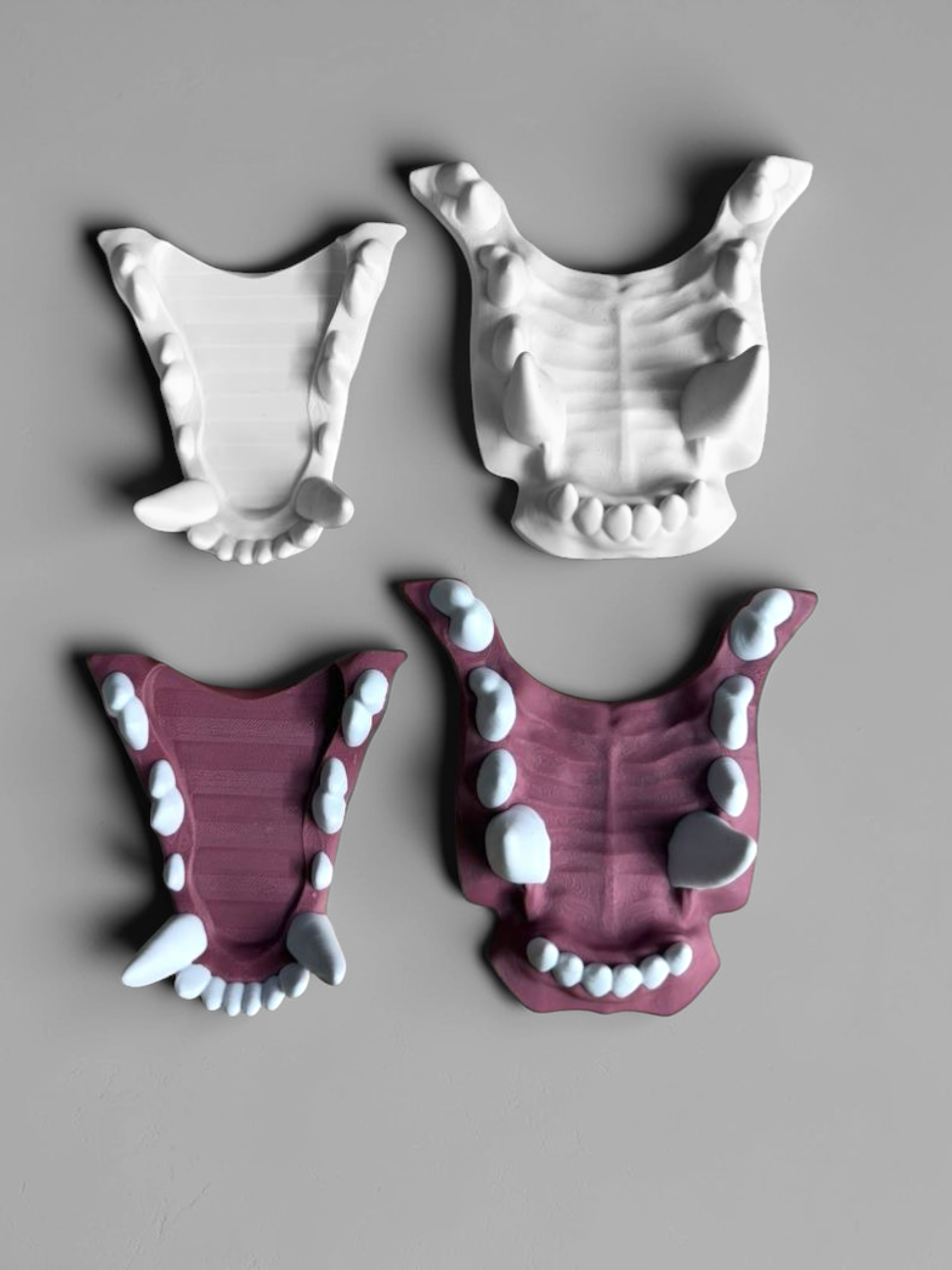 Teeth & Jawsets