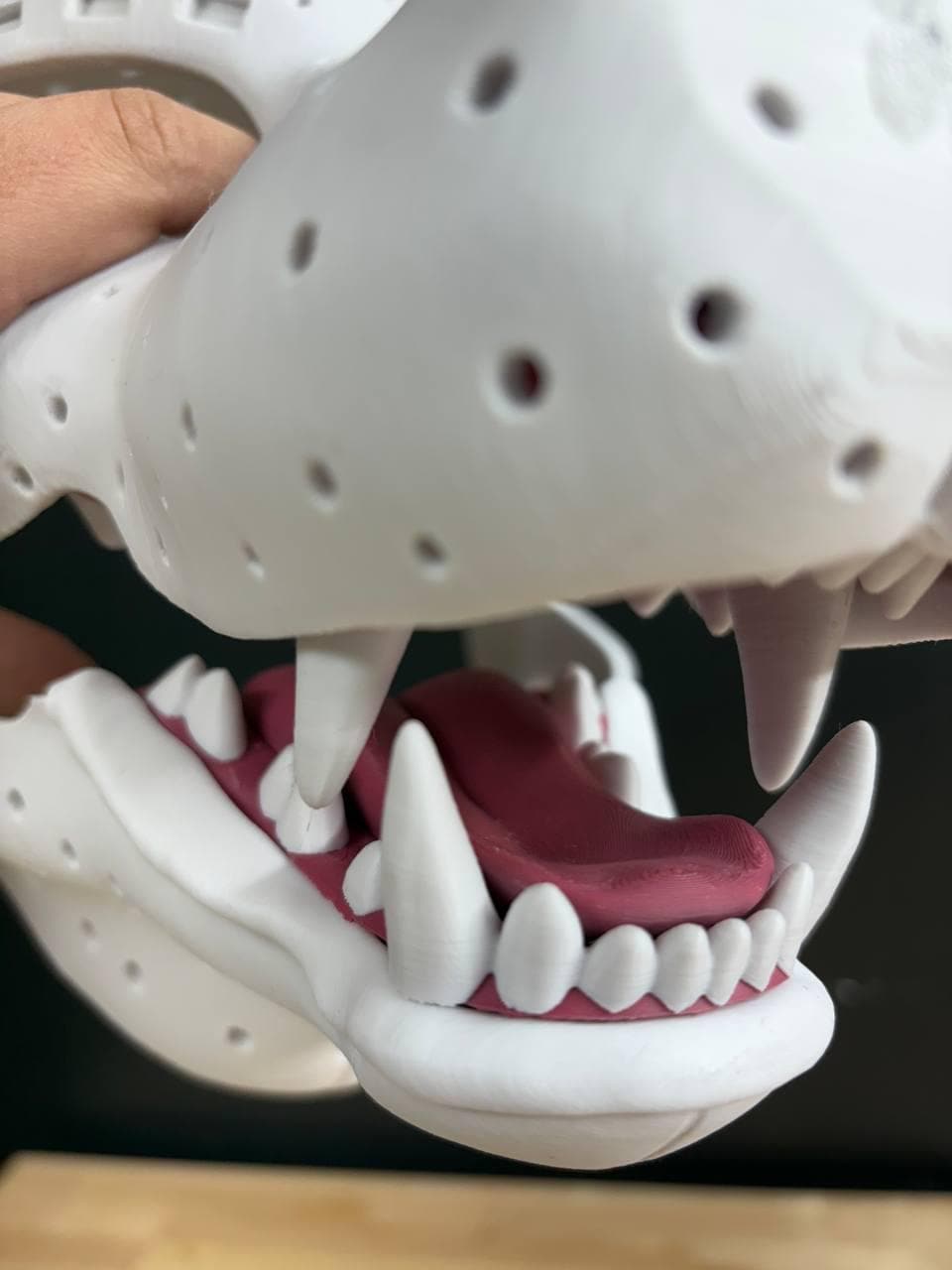Canine Tongue 3D-Printed PLA