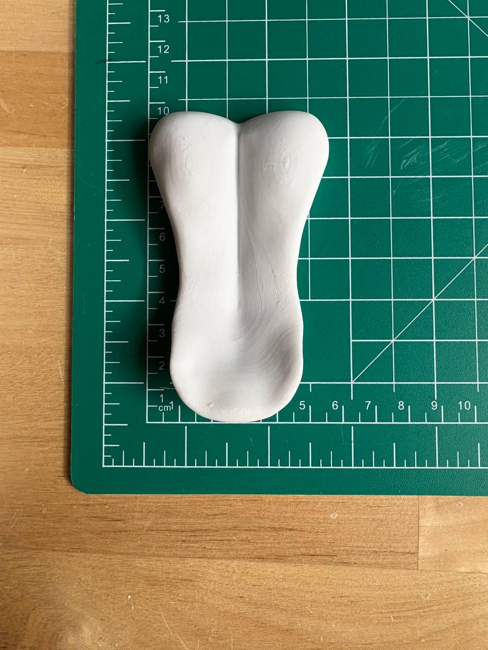 Canine Tongue 3D-Printed PLA