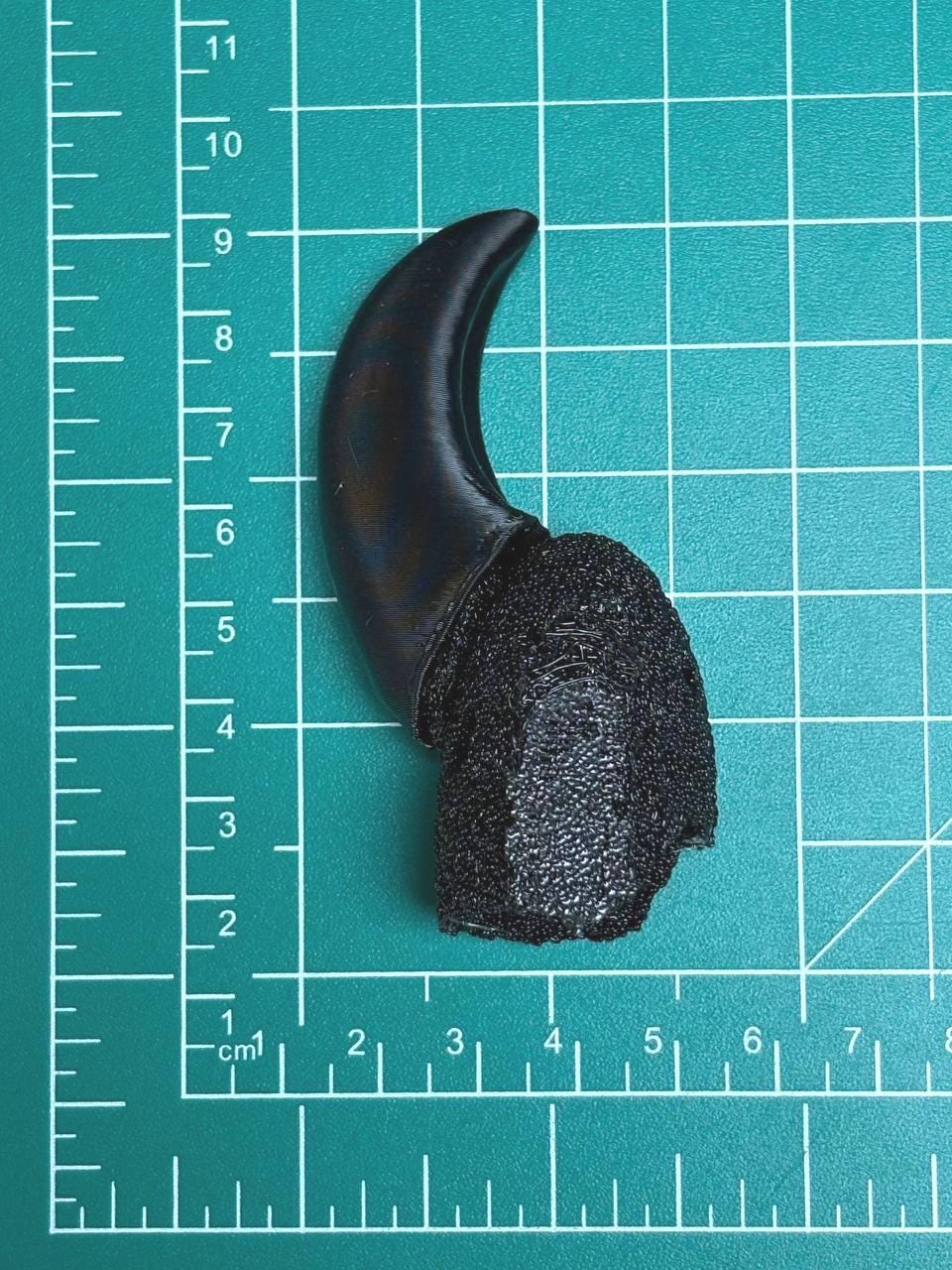 Canine Claws - TPU base