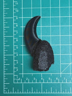 Canine Claws - TPU base